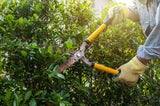 Was viele jetzt im Garten falsch machen