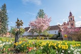 Der 40.000 m2 große Schlosspark lädt zum Entspannen ein. 