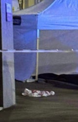 wiener springt bei Flucht vor Polizei in den Tod
