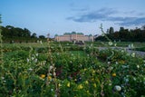 Ein Spaziergang im Botanischen Garten bietet Entspannung-Pur.
