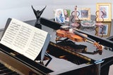 Ihr „Werkzeug“, die Geige, ist sonst in einem versperrbaren Spezial-Koffer verstaut – wenn Baich nicht gerade wieder am Proben ist. Dieser Tage erscheint ihre neue CD „The Other Seasons“. 