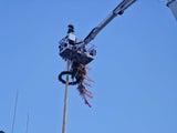 Maibaum aufstellen