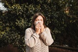 Pollen-Allergiker leiden oft unter einem starken Fließschnupfen, bei dem die Nase ständig läuft. Bei Corona-Patienten kommt das selten vor. 