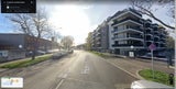 Bulldogge in Tod geworfen