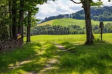 Wienerwald
