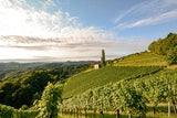 Weinwandern in Österreich: Die schönsten Wege zum Wein