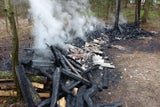 Feuerwehr verhindert Waldbrand bei Losau