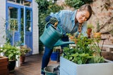 Das ist jetzt zu tun: Welche Gartenarbeiten im Juli anstehen