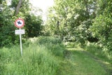 Leiche in Leitha