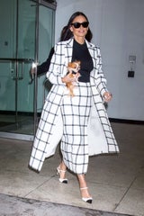 Demi Moore ist immer in Begleitung von ihrem Hund Pilaf.