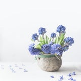 Geheime Liebesbotschaften: Die Bedeutung hinter Valentinstagsblumen