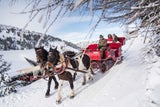 Romantische Pferdeschlittenfahrt durchs Winter Wonderland.