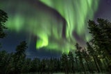 Nordlichter in Schweden