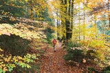 Energien auftanken. Waldbaden in der Nähe des Höllfalls.&nbsp;&nbsp;