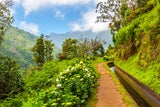 Levedas, Madeira