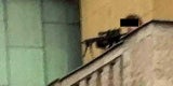 Prager Attentäter gesteht Doppelmord vor Uni-Massaker