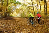 Fest der Sinne: Herbst im Gasteinertal