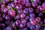 Vorsicht! Diese Obstsorten machen dick