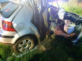 Auto crasht ungebremst gegen Baum - 26-Jähriger tot