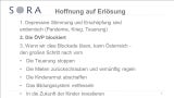 Das ist das komplette Aufreger-Strategiepapier der SPÖ