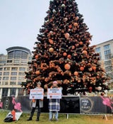 Baum orange