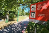 Schüsse bei Bandenkrieg in Wien