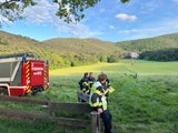 Waldbrand in Mödling: Feuerwehr im Einsatz