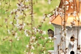 Gartenvögel sind dankbar für geeignete Nistplätze, denn je nach Vogelart ist von März bis August Brutzeit.  