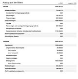 Auszug aus der Bilanz der SK Management GmbH 2022.