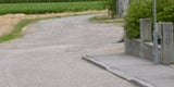 Hunde-Attacke