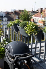 Kräuter dürfen freilich auch nicht fehlen: die Powerlady kocht und grillt gerne. Sommerabende genießt sie zusammen mit ihrem Freund, der allerdings nicht hier wohnt. 