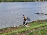 Schwer verletzter Schwan aus Donau gerettet