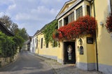 Heurige