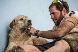 Arthur der Große: Wahlberg kommt jetzt im Kino auf den Hund