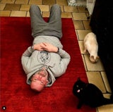 Kratky Katzen