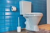Hygiene im Bad: So oft sollten Sie Ihre Klobürste wirklich wechseln