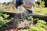 Was viele jetzt im Garten falsch machen