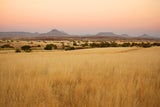 Roadtrip in Namibia: Mit dem Auto von der Wüste zum Atlantik