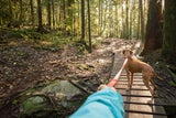 Abenteuer Bindung. Gemeinsame Wandererlebnisse schaffen Vertrauen und Zugehörigkeitsgefühl.