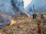 Brand Wildalpen