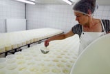 Camembert