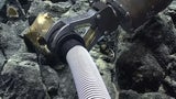 NOAA OCEAN EXPLORATION