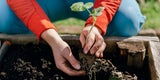 Vorsicht Eisheilige: Das ist jetzt im Garten zu tun