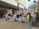 Klima-Proteste in Bregenz