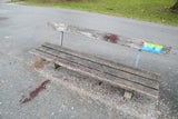 Lehener Park Messer Leiche