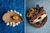 "Muschelaugen Schale" und "Krabbenkolben" im Noma.