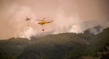 Waldbrand auf Teneriffa