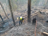 Brand Wildalpen