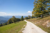 Frühling von seiner schönsten Seite im Mariazeller Land