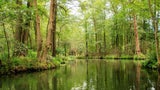 Spreewald, Deutschland 